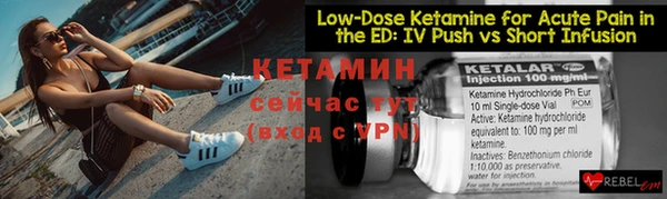 сатива Кинешма