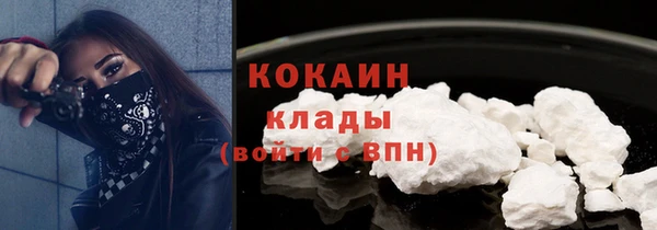 сатива Кинешма