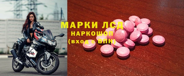 сатива Кинешма