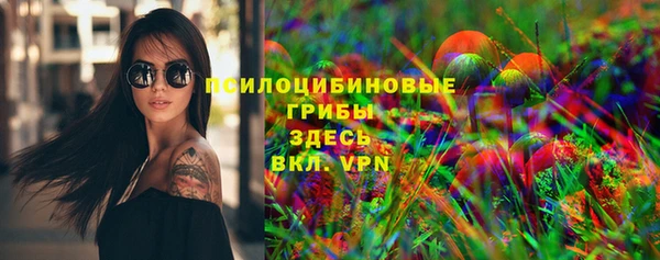 сатива Кинешма
