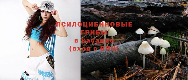 сатива Кинешма