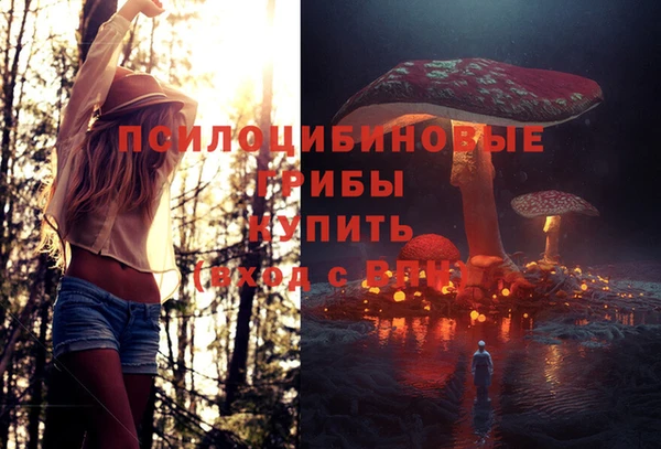 синтетический гашиш Киреевск