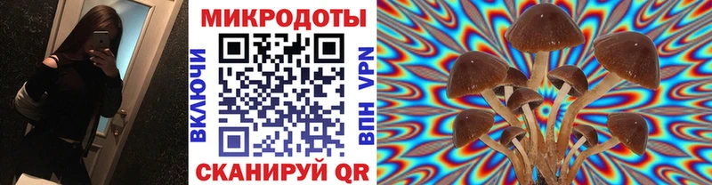 Галлюциногенные грибы Cubensis  Купить где  Арсеньев 